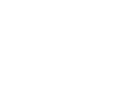 vegan